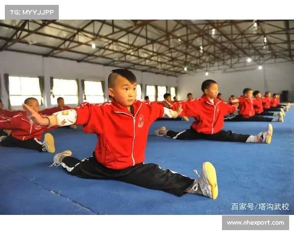 学武术的最佳年龄是几岁?了解不同年龄段的学习优势与挑战 学武术的最佳年龄是几岁?了解不同年龄段的学习优势与挑战